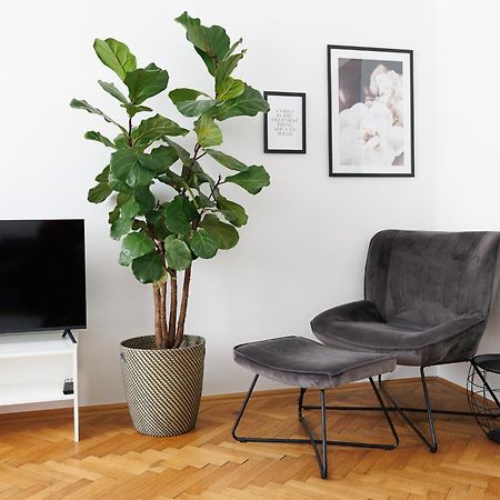 Apartament #29 Heaven Messe/Prater Wiedeń Zewnętrze zdjęcie