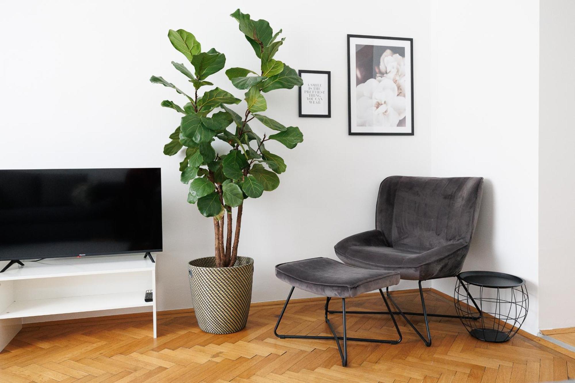Apartament #29 Heaven Messe/Prater Wiedeń Zewnętrze zdjęcie